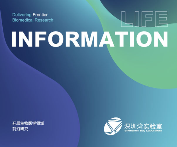 企業(yè)設(shè)計(jì)VI服務(wù)_為企業(yè)塑造強(qiáng)勢品牌形象