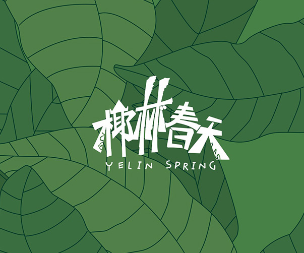 揭陽品牌VI設(shè)計團隊_提供一站式服務(wù)