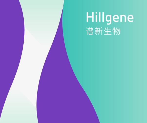 企業(yè)VI設計信封作業(yè)_提升品牌形象_加強溝通效果